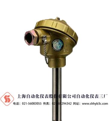 E型熱電偶價格 上海自動化儀表三廠